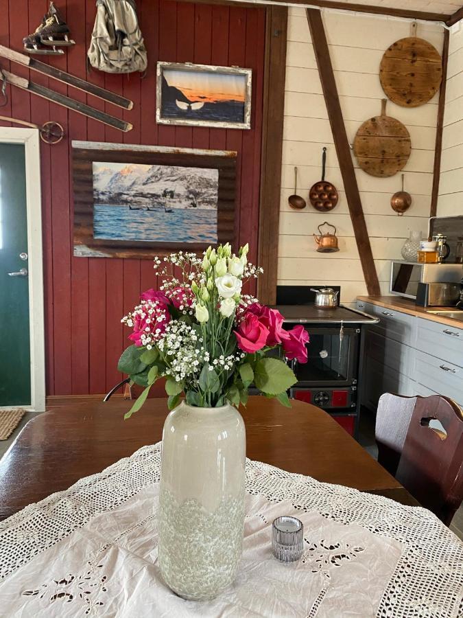 Kraemarvika Lodge ترومسو المظهر الخارجي الصورة