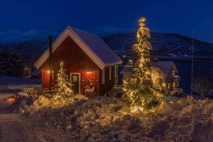 Kraemarvika Lodge ترومسو المظهر الخارجي الصورة