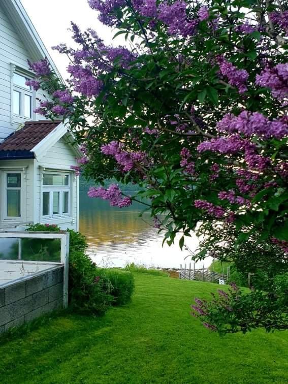 Kraemarvika Lodge ترومسو المظهر الخارجي الصورة