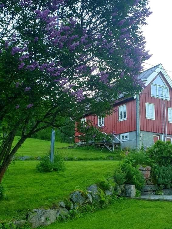 Kraemarvika Lodge ترومسو المظهر الخارجي الصورة